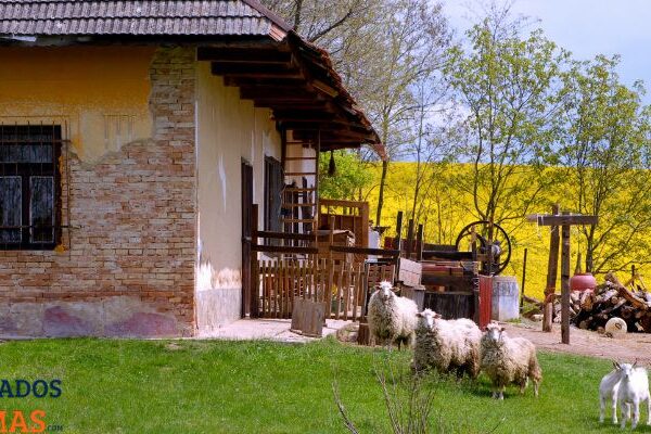 Vivienda Social para el Campo